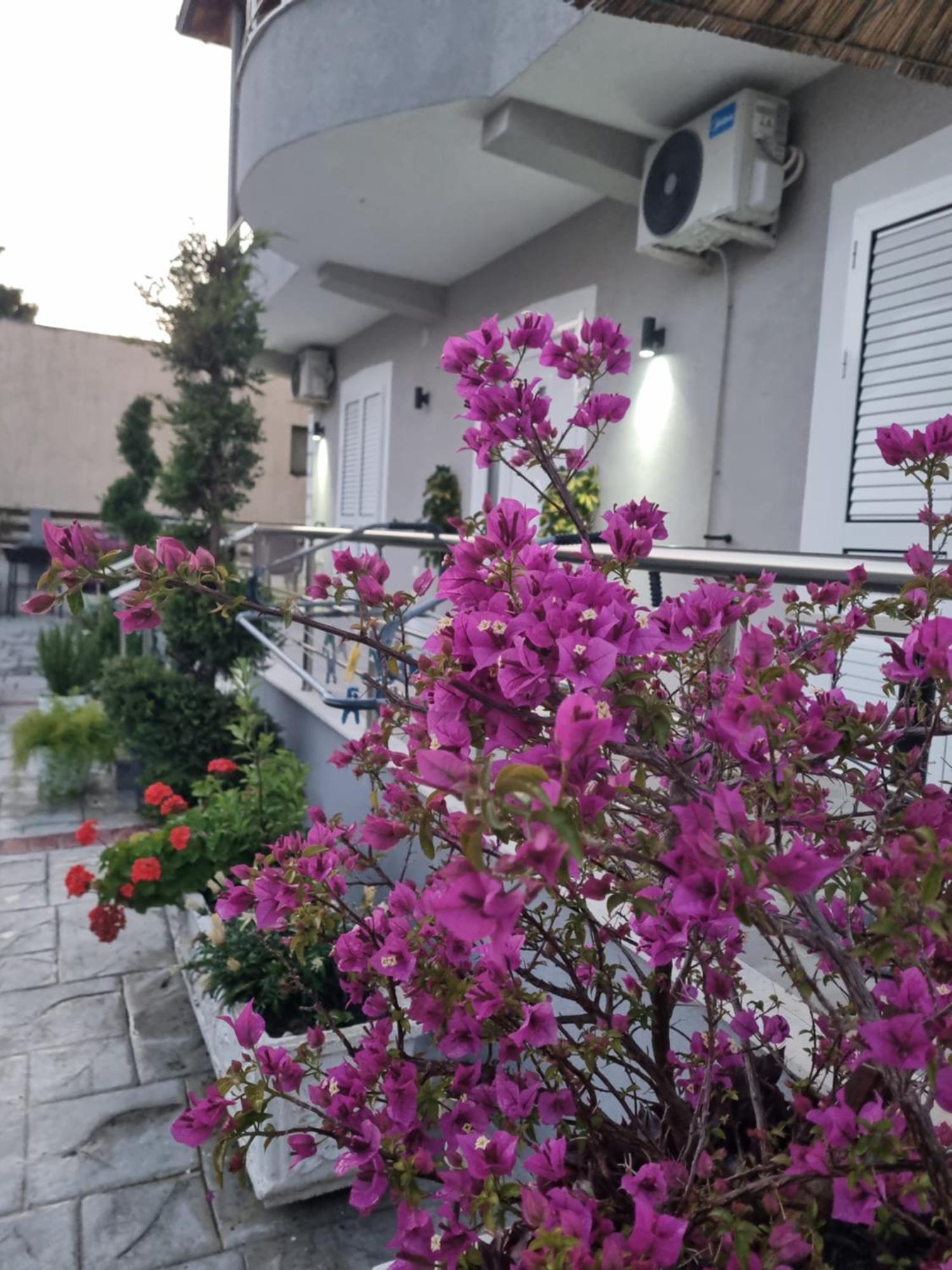 Vila Soleil Vlorë Esterno foto